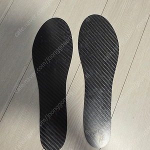 카본 인솔