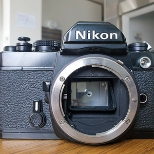 니콘 nikon fm 블랙 필름카메라 판매