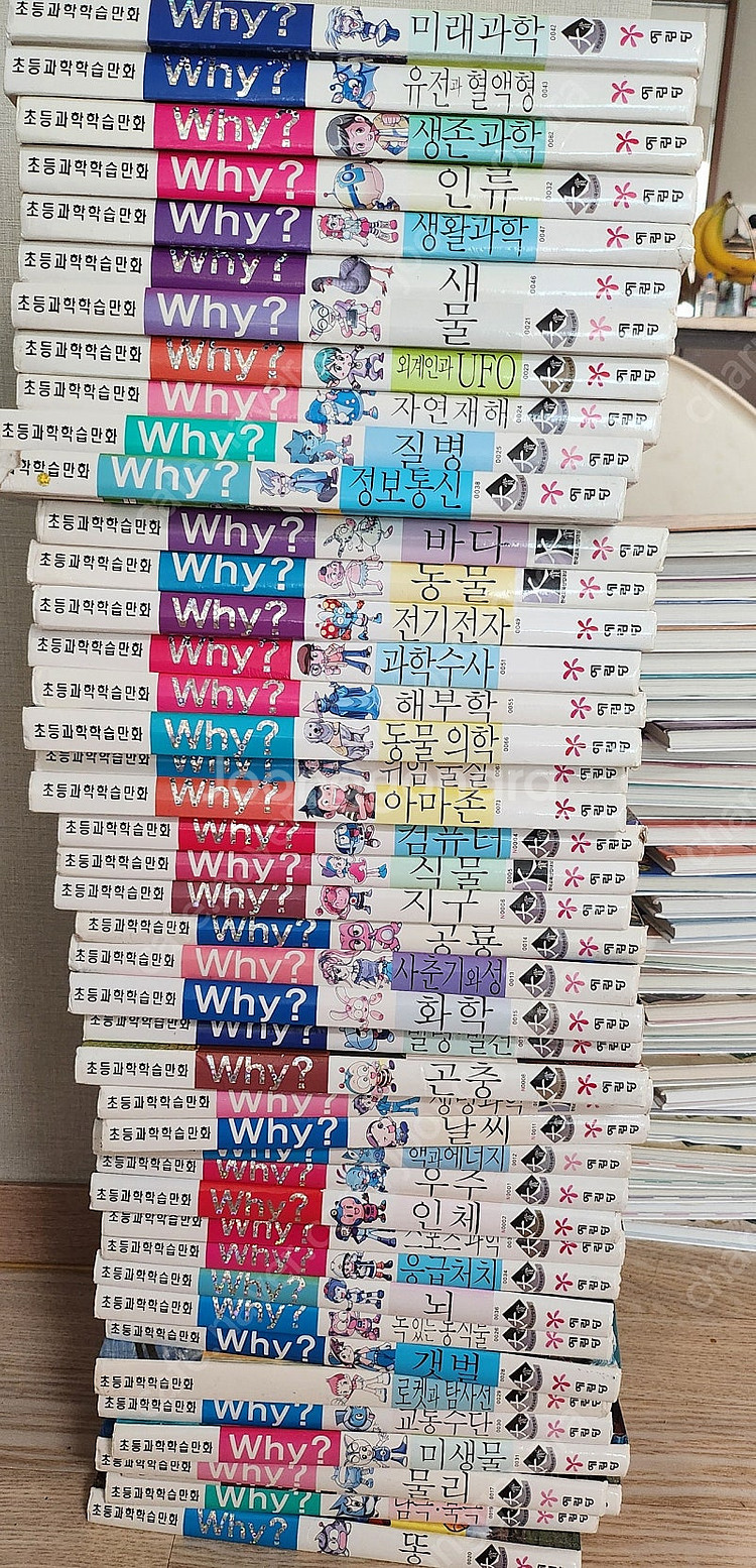 와이책--1