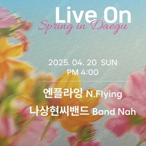 Live on Spring in 대구(라이브 온 스프링 인 대구) 엔플라잉(N.Flying), 나상현(Band Nah) 콘서트 티켓 양도 합니다