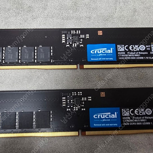 마이크론 Crucial DDR5-5600 CL46 32GB (16GB X2) RAM 팝니다.