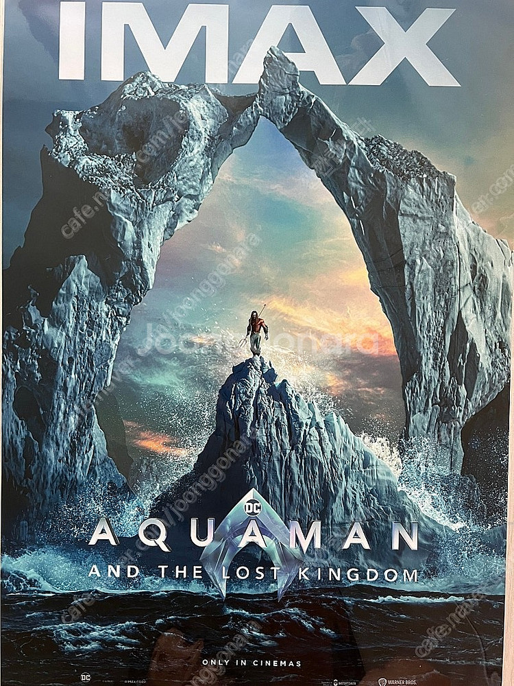 A3 영화포스터(Imax / 4DX / ScreenX ...--1