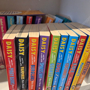 데이지 and the trouble with 챕터북10권