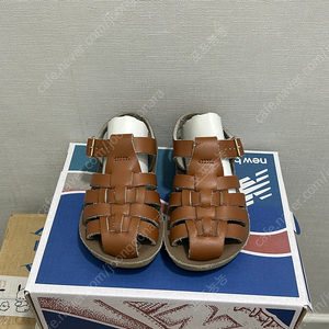 솔트워터 샤크