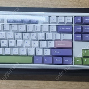 프리플로우 archon ak74 마카롱 세이야축 판매