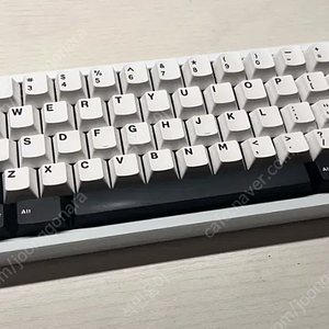 graystudio bd60