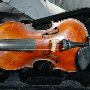4/4 독일바이올린 Jacobus Stainer 1678 Kopie
