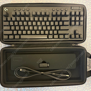 로지텍 g pro x tkl lightspeed 택타일 갈축