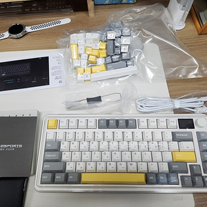 FL ESPORTS CMK75 유무선 기계식 키보드 45g 저소음크림축 팝니다