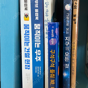 무브무브 플랩북2권, 공룡그림책, 구석구석들춰봐 태양계, 지구의 모든 것, 해적선의 비밀 총 6권