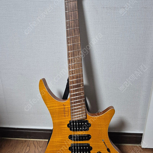 스트랜드버그 보던 퓨전 strandberg boden fusion