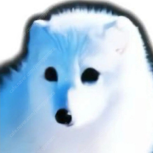 펨코 잉포 30000팝니다