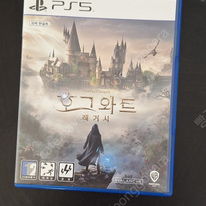 호그와트 레거시 팝니다