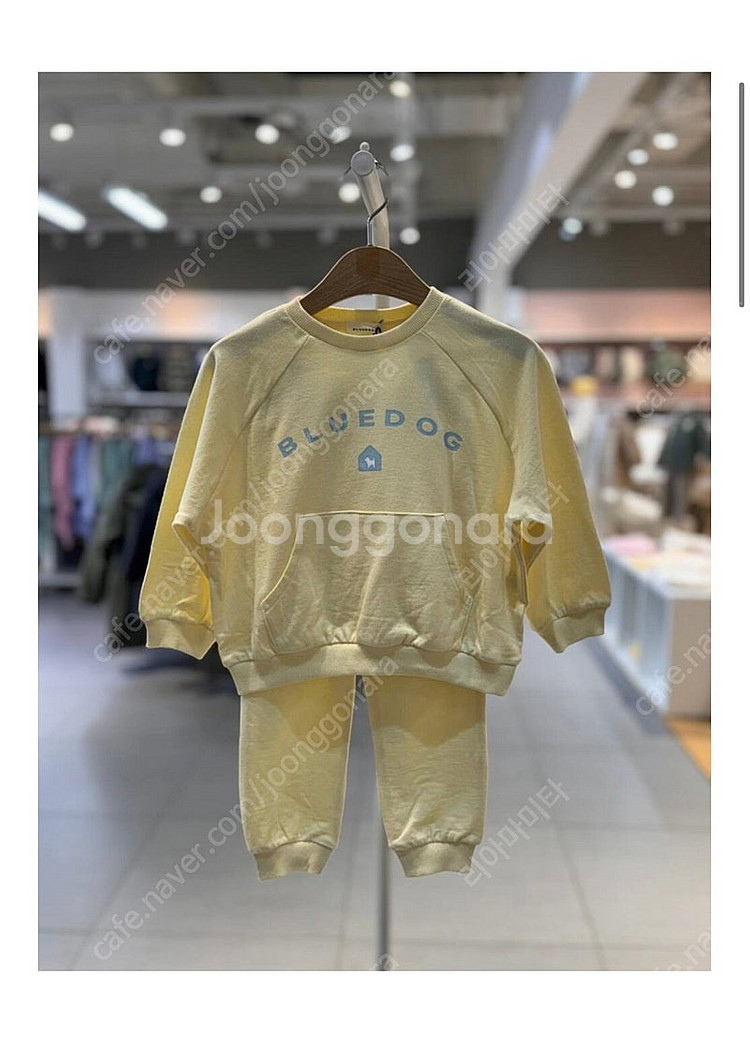 블루독 상하복세트 새상품 100--0