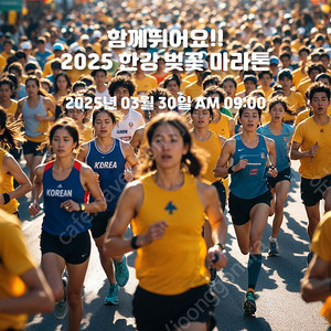 한강 벚꽃마라톤 5km 배번 구합니다