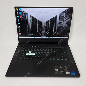 아수스터프 15인치 i7 16G 1Tb RTX3060 FX516PM