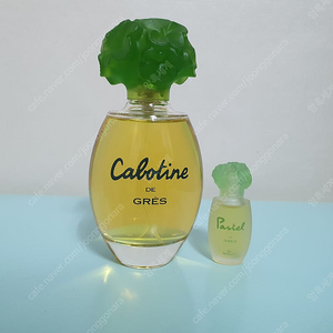 그레 카보틴 EDT 100ml + 파스텔 드 그레 미니어처 향수 Gres pafums ﻿Cabotine 퍼퓸 칼로틴 까보틴