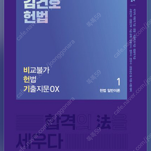 [펴보지도 않은 완전새책/택포] 공무원 7급 헌법 2024 김건호 비헌기 OX