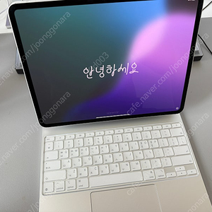 아이패드 M4 13인치 셀룰러 512GB + 매직키보드 판매합니다.