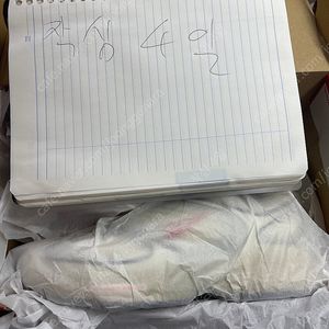 나이키 런닝화 페가수스 260