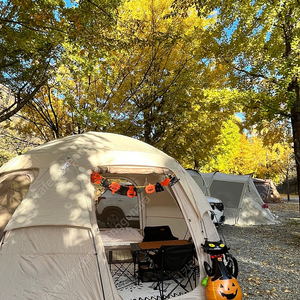 캠프밸리 스페이스돔 빅 플러스 텐트 판매합니다 이미지