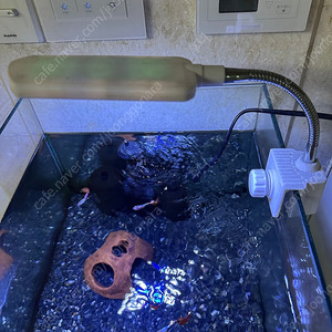 구피 어항 세트