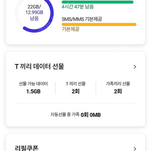 판매] SKT T데이터 1GB 판매_2000원