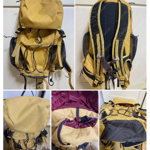 댈링 20리터(앰버골드)