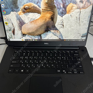 Dell xps 15 9570 모델 판매합니다