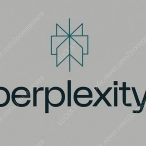 [정가29만원] 1년 이용권 퍼플렉시티(Perplexity)프로 AI검색엔진