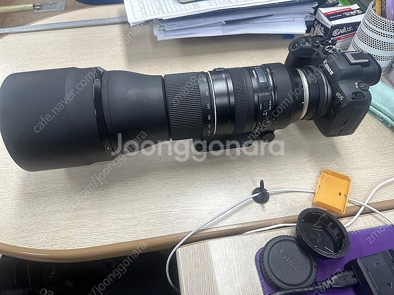 탐론 150-600g2 캐논--0