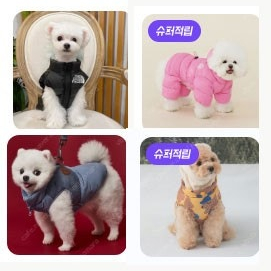 강아지 간식과 강아지옷 싸게팔아요,,,