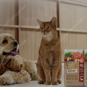 강아지옷과 강아지 간식 싸게 팔아요..