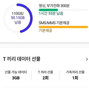 skt데이터 2기가