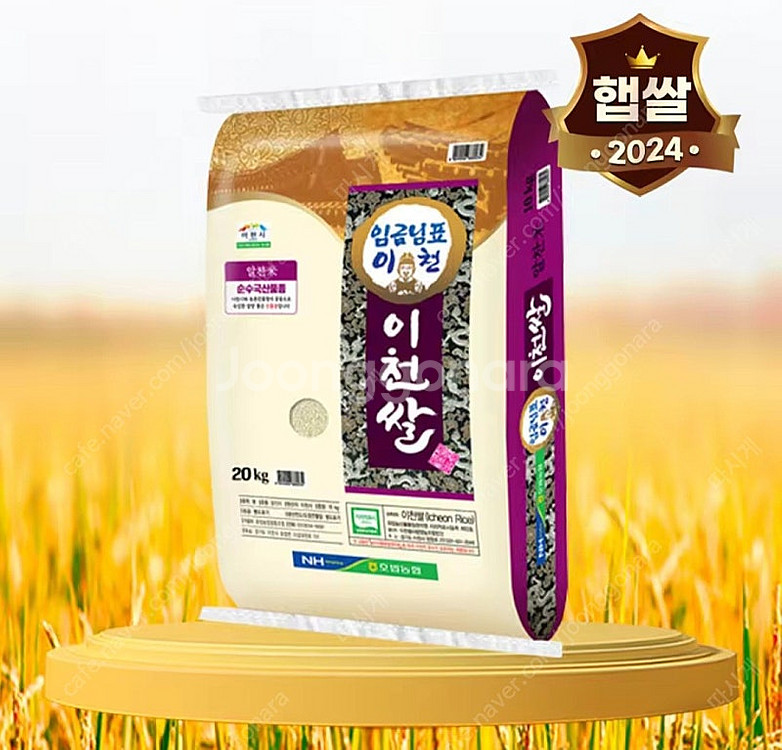 선착순)24년산 이천쌀20kg 무료배송68900원 수향...--0