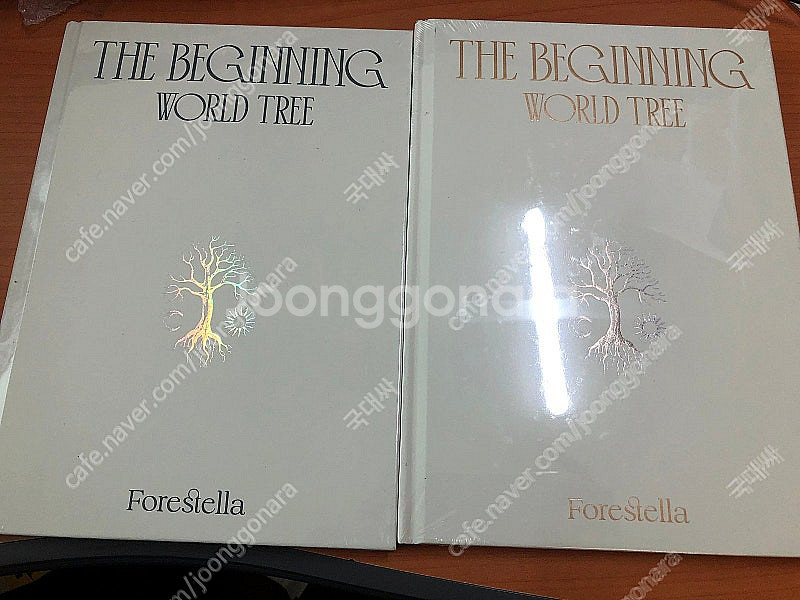 (미개봉)포레스텔라 미니앨범 The Beginning ...--0