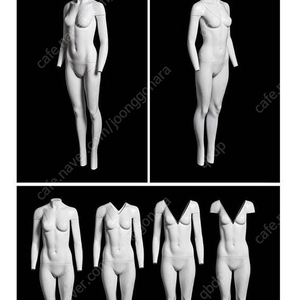 남녀전산 고스트마네킹(새제품)