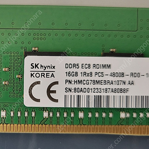 SK Hynix 정품 DDR5 EC8 RDIMM 16GB 1RX8 PC5-4800B(서버용)