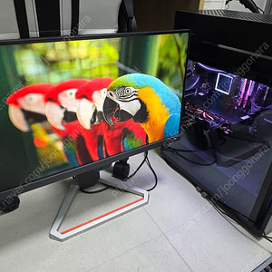 BenQ 모비우스 EX2510 게이밍 모니터