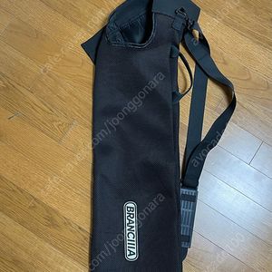 브랑키아 핀백