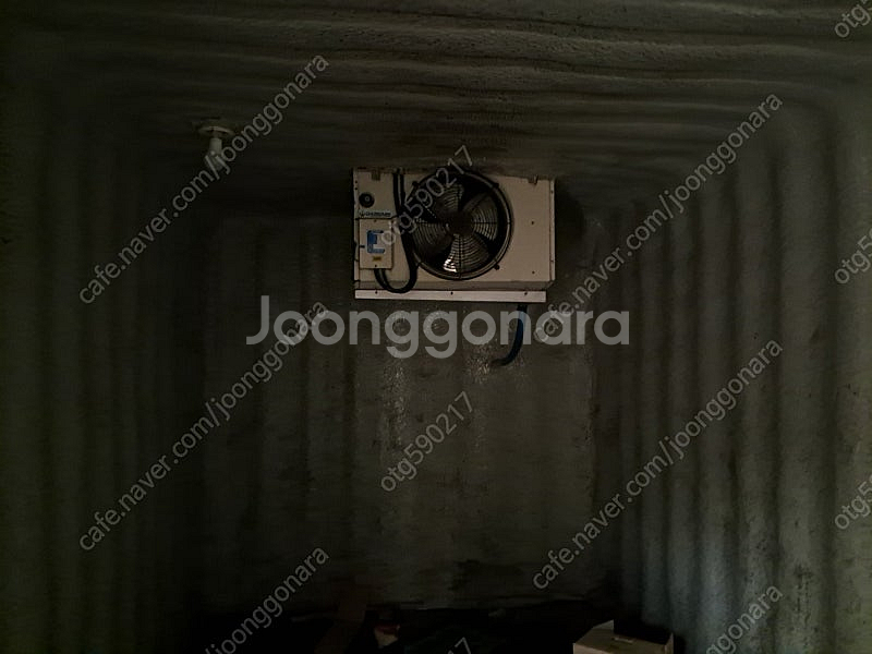 40피트 냉동 컨테이너 25이하까지 내려감 상태 매우 좋음--3