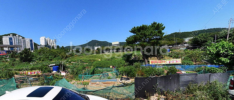 부산 주말농장 분양합니다 (해운대 반여동 농산물시장 부...--0