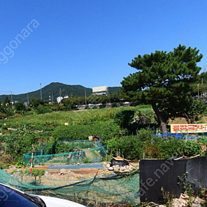 부산 주말농장 분양합니다 (해운대 반여동 농산물시장 부근)