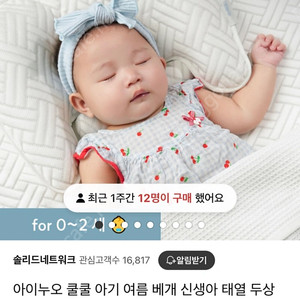 아이누오 두상베개