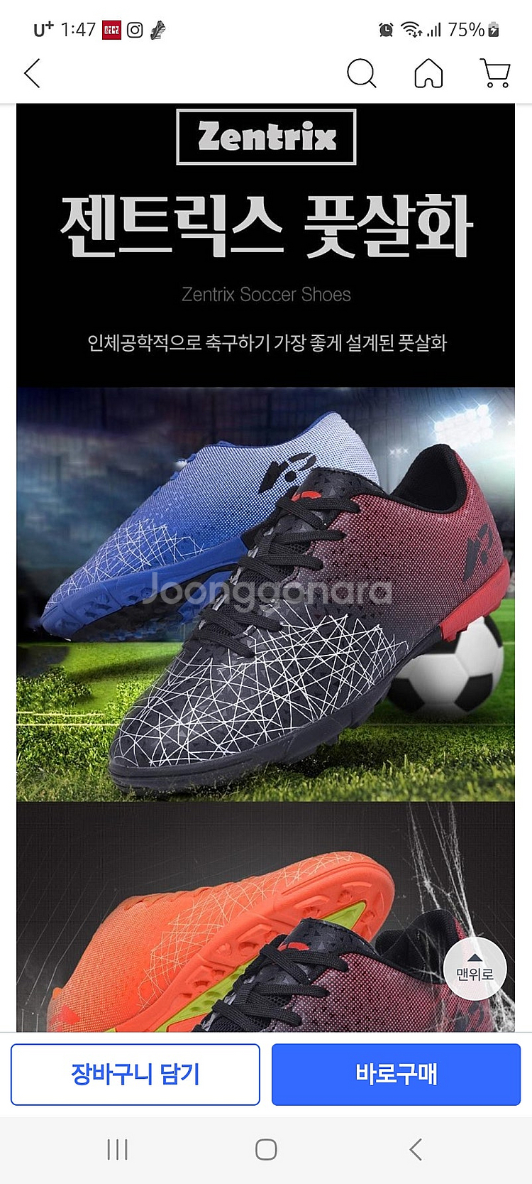 풋살화 260--3
