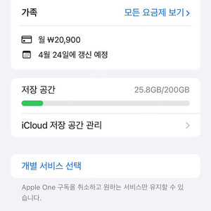 애플원 Apple one 6개월 가족공유