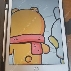 아이패드 6세대+펜슬+ 충전기 일괄