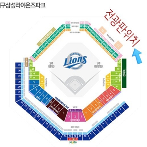 3/25 삼성 NC sky 하단 29구역 2연석 판매합니다.