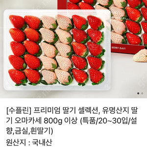 [수플린] 프리미엄 딸기 셀렉션, 유명산지 딸기 오마카세 800g 이상 (특품/20~30입/설향,금실,흰딸기)