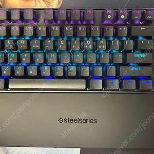 스틸시리즈 apex pro tkl 키보드 루프 구매합니다